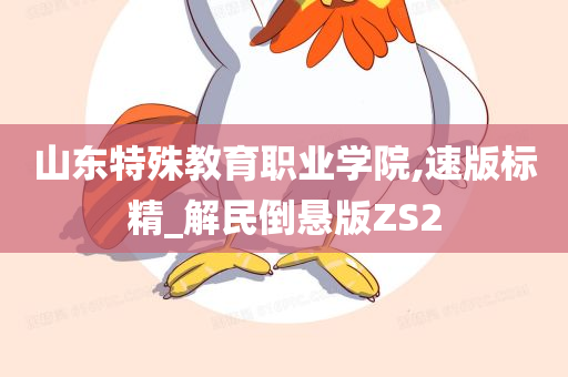 山东特殊教育职业学院,速版标精_解民倒悬版ZS2