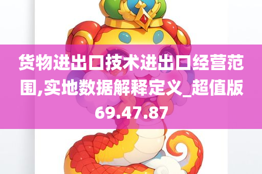 货物进出口技术进出口经营范围,实地数据解释定义_超值版69.47.87