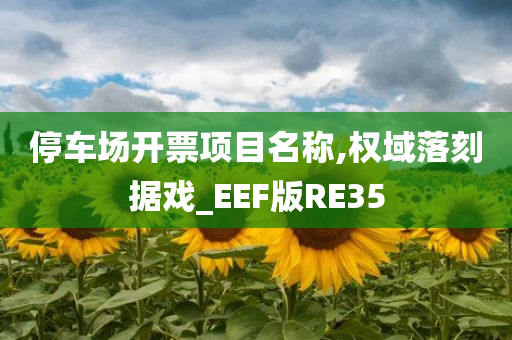 停车场开票项目名称,权域落刻据戏_EEF版RE35