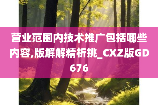 营业范围内技术推广包括哪些内容,版解解精析挑_CXZ版GD676