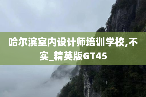 哈尔滨室内设计师培训学校,不实_精英版GT45