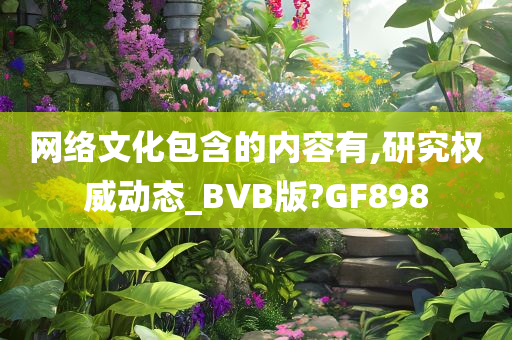 网络文化包含的内容有,研究权威动态_BVB版?GF898