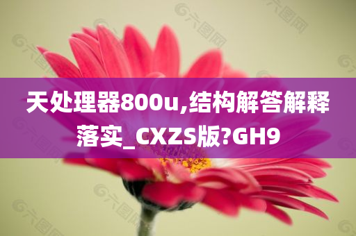 天处理器800u,结构解答解释落实_CXZS版?GH9