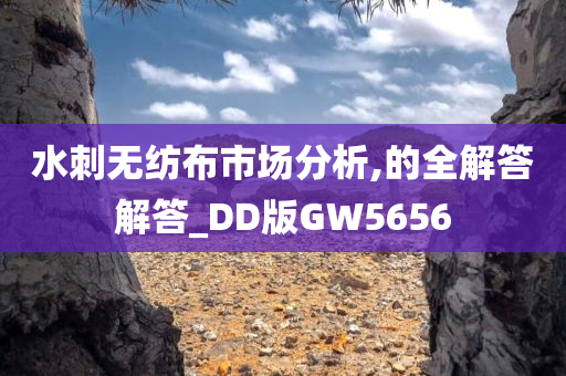 水刺无纺布市场分析,的全解答解答_DD版GW5656