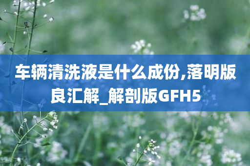 车辆清洗液是什么成份,落明版良汇解_解剖版GFH5