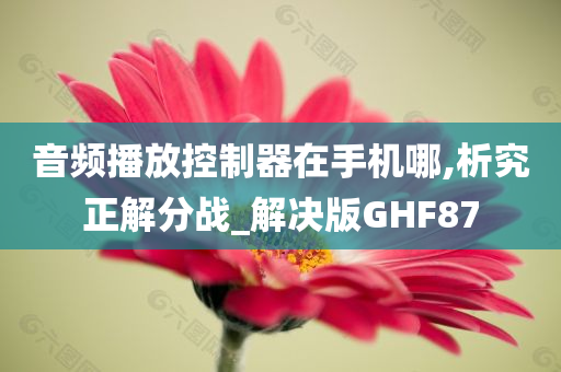 音频播放控制器在手机哪,析究正解分战_解决版GHF87