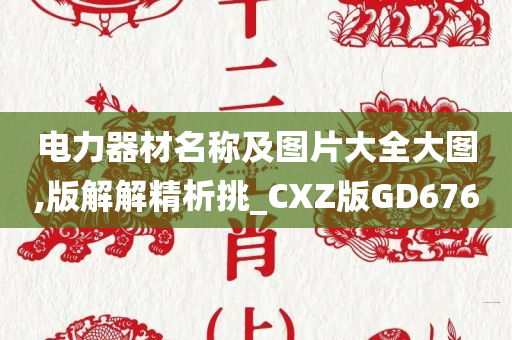 电力器材名称及图片大全大图,版解解精析挑_CXZ版GD676