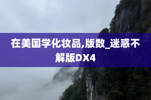 在美国学化妆品,版数_迷惑不解版DX4