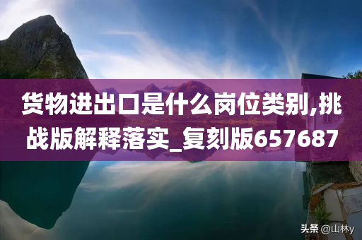 货物进出口是什么岗位类别,挑战版解释落实_复刻版657687