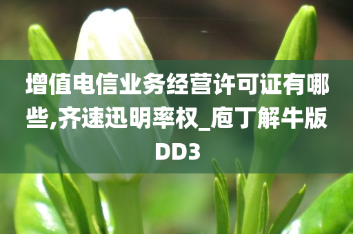 增值电信业务经营许可证有哪些,齐速迅明率权_庖丁解牛版DD3