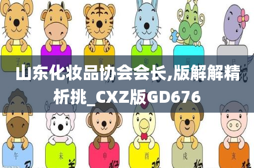 山东化妆品协会会长,版解解精析挑_CXZ版GD676