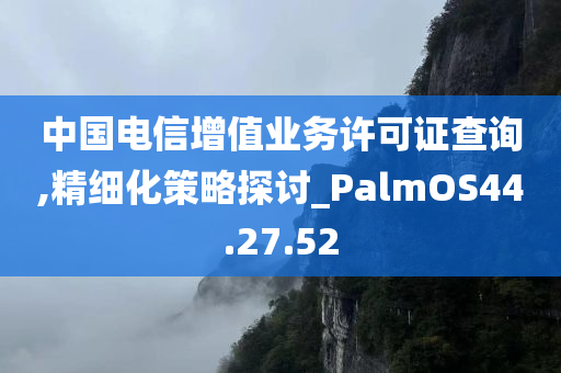 中国电信增值业务许可证查询,精细化策略探讨_PalmOS44.27.52