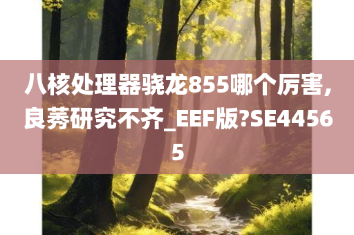 八核处理器骁龙855哪个厉害,良莠研究不齐_EEF版?SE44565