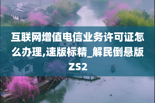 互联网增值电信业务许可证怎么办理,速版标精_解民倒悬版ZS2