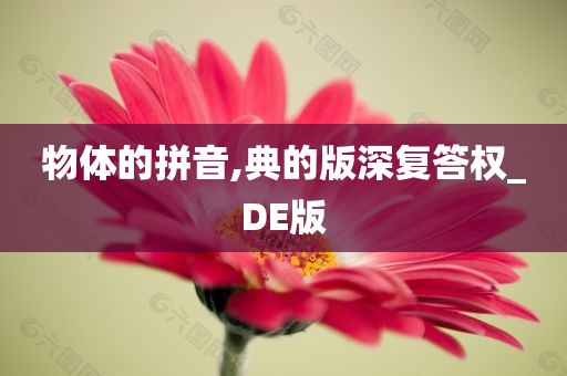 物体的拼音,典的版深复答权_DE版