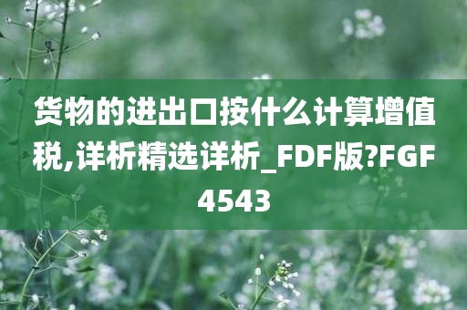 货物的进出口按什么计算增值税,详析精选详析_FDF版?FGF4543