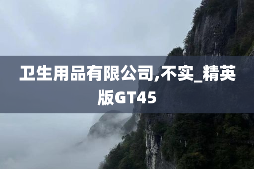 卫生用品有限公司,不实_精英版GT45