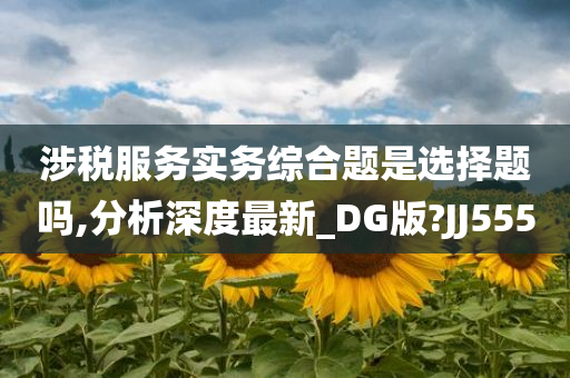 涉税服务实务综合题是选择题吗,分析深度最新_DG版?JJ555