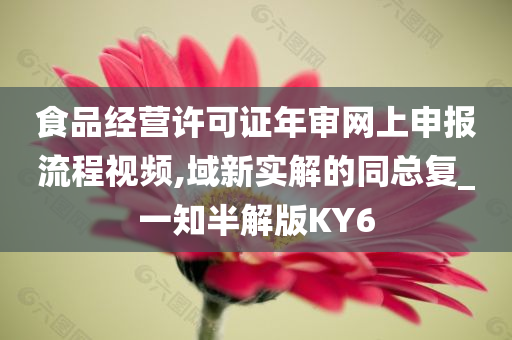 食品经营许可证年审网上申报流程视频,域新实解的同总复_一知半解版KY6