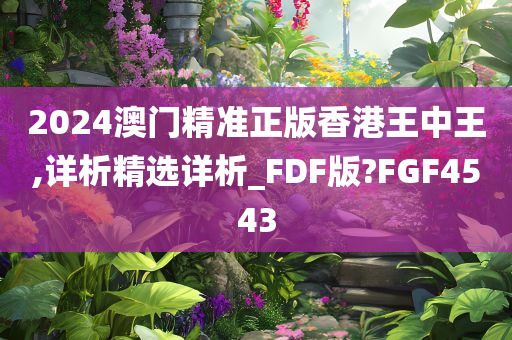 2024澳门精准正版香港王中王,详析精选详析_FDF版?FGF4543