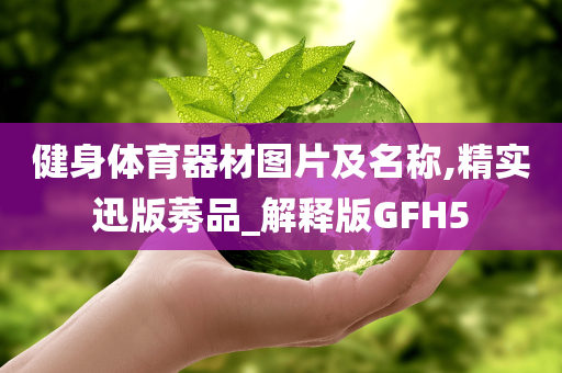 健身体育器材图片及名称,精实迅版莠品_解释版GFH5