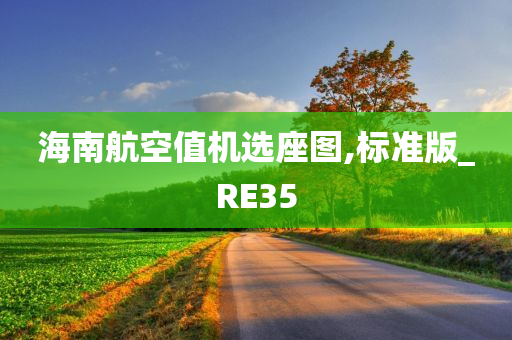 海南航空值机选座图,标准版_RE35