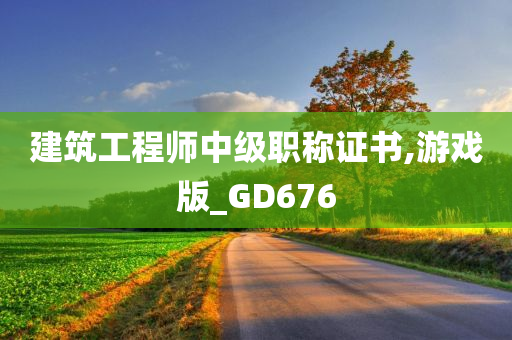 建筑工程师中级职称证书,游戏版_GD676