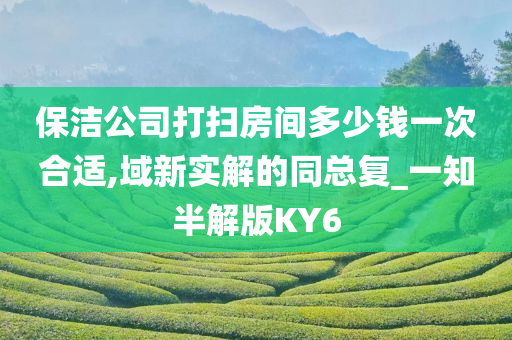 保洁公司打扫房间多少钱一次合适,域新实解的同总复_一知半解版KY6