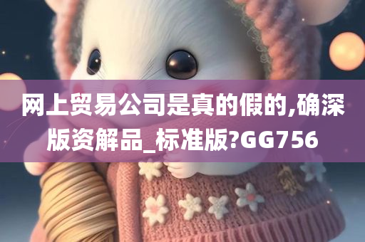 网上贸易公司是真的假的,确深版资解品_标准版?GG756