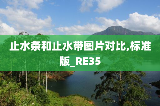 止水条和止水带图片对比,标准版_RE35