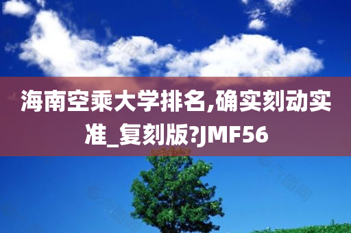 海南空乘大学排名,确实刻动实准_复刻版?JMF56