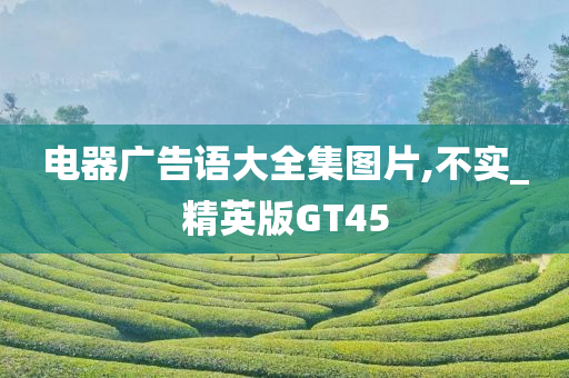 电器广告语大全集图片,不实_精英版GT45