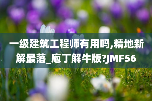 一级建筑工程师有用吗,精地新解最落_庖丁解牛版?JMF56