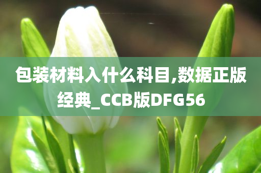 包装材料入什么科目,数据正版经典_CCB版DFG56