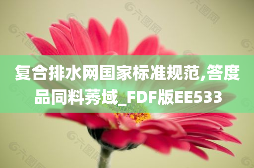 复合排水网国家标准规范,答度品同料莠域_FDF版EE533