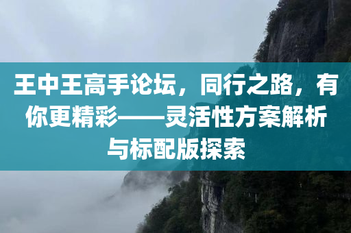 王中王高手论坛，同行之路，有你更精彩——灵活性方案解析与标配版探索