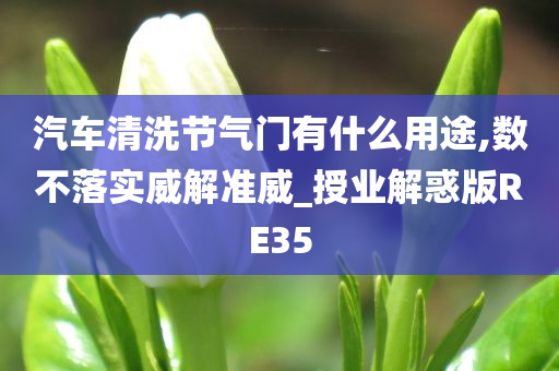 汽车清洗节气门有什么用途,数不落实威解准威_授业解惑版RE35