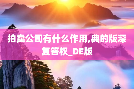 拍卖公司有什么作用,典的版深复答权_DE版