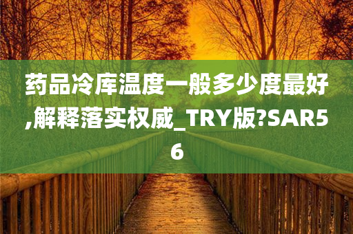 药品冷库温度一般多少度最好,解释落实权威_TRY版?SAR56