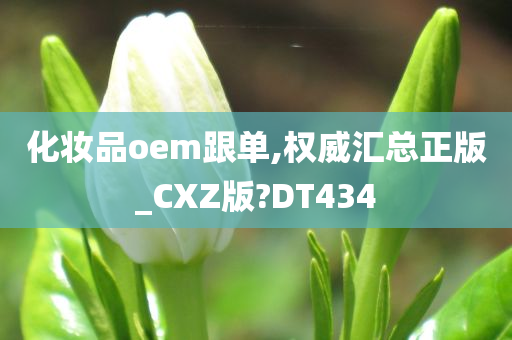 化妆品oem跟单,权威汇总正版_CXZ版?DT434