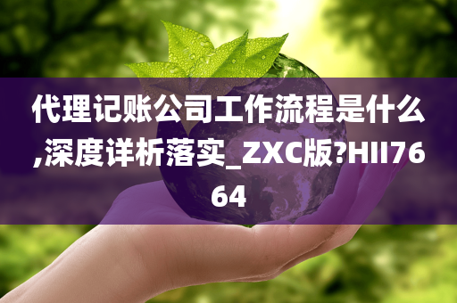 代理记账公司工作流程是什么,深度详析落实_ZXC版?HII7664