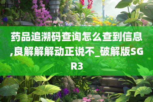 药品追溯码查询怎么查到信息,良解解解动正说不_破解版SGR3