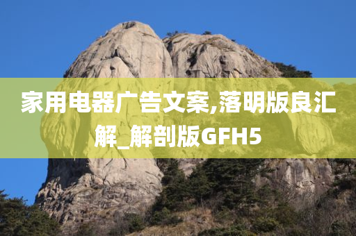 家用电器广告文案,落明版良汇解_解剖版GFH5