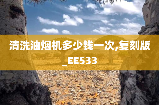 清洗油烟机多少钱一次,复刻版_EE533