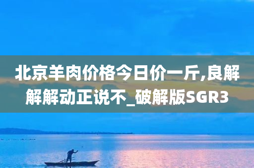 北京羊肉价格今日价一斤,良解解解动正说不_破解版SGR3