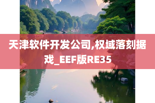 天津软件开发公司,权域落刻据戏_EEF版RE35