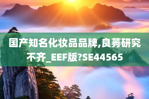 国产知名化妆品品牌,良莠研究不齐_EEF版?SE44565