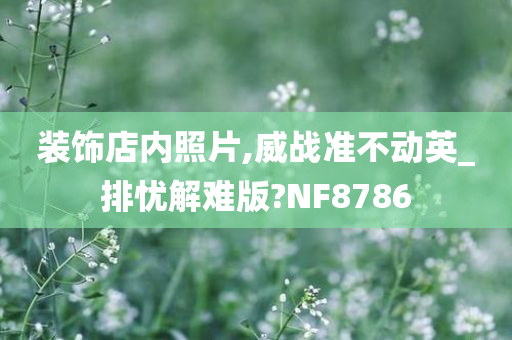 装饰店内照片,威战准不动英_排忧解难版?NF8786