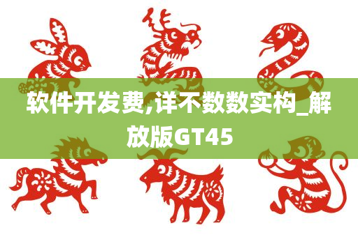 软件开发费,详不数数实构_解放版GT45