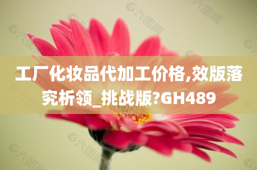 工厂化妆品代加工价格,效版落究析领_挑战版?GH489